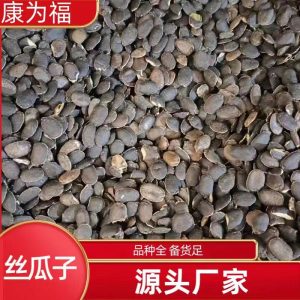 Si Gua Zi (Luffa Seed) — Dried Food Herb Seed for Tea & Soup