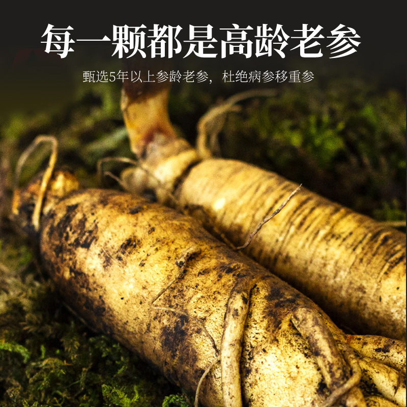 Canadian American Ginseng Root Segments 200g Gift Box 5 Year Round Root Slices for Cooking - Image 3
