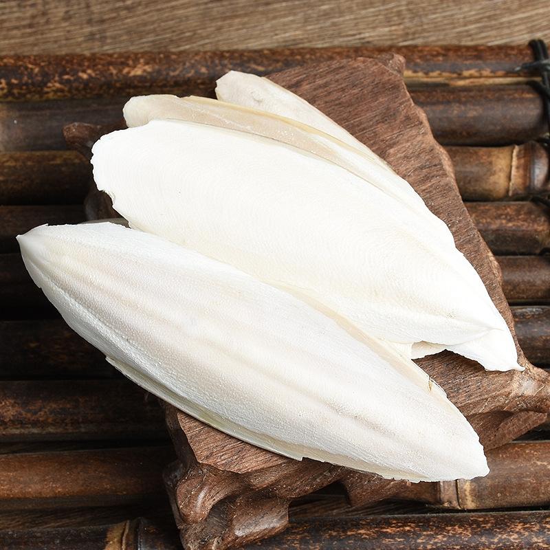 Hai Piao Xiao (Sepia esculenta) — Dried Cuttlebone Piece, Traditional Chinese Herb - Image 3