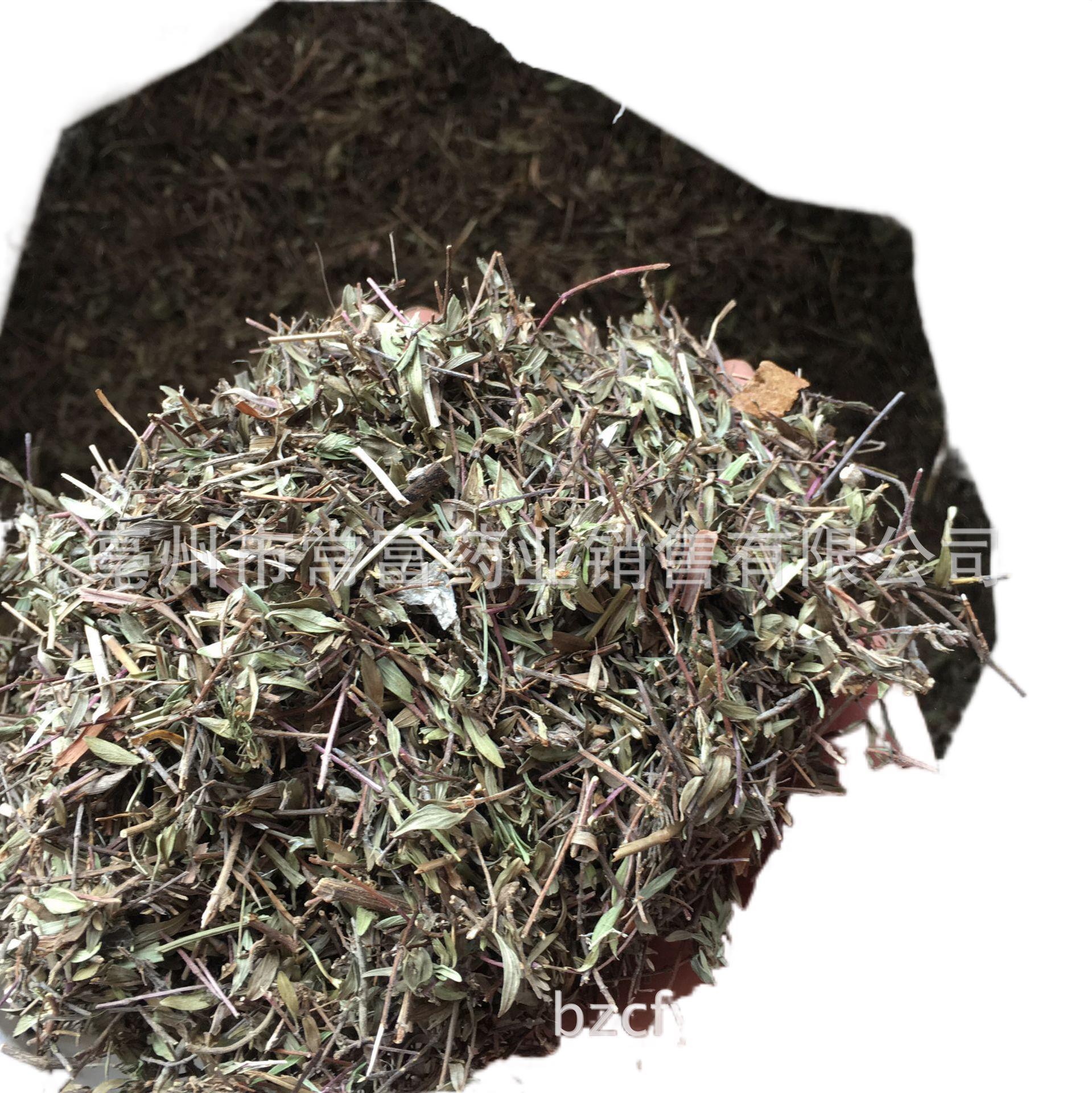 Dried Thyme Herb Bai Li Xiang 500g Culinary Seasoning for Western Cooking and Herbal Tea - Image 5