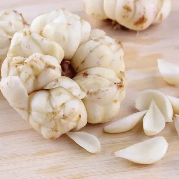 Dried Longya Lily Bulb Slices Bai He 50g Trial Pack Hunan Origin Sulfur-Free Processing - Image 4