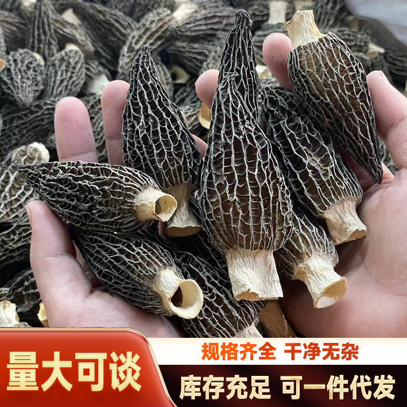 Morel Mushroom (Morchella spp.) — Dried Yunnan Wild-Harvested Whole Mushrooms for Soup & Tea - Image 2