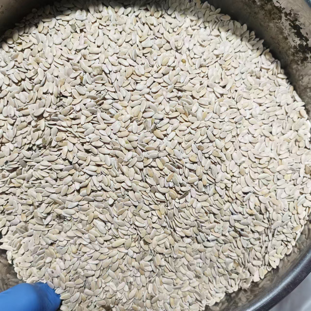 Dried Muskmelon Seeds Xiang Gua Zi 500g Edible Melon Seed Snack and Soup Ingredient - Image 2
