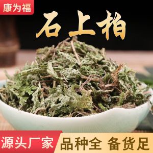 Shi Shang Bai (Selaginella doederleinii) — Sulfur-Free Deep Green Dried Herb, 500g