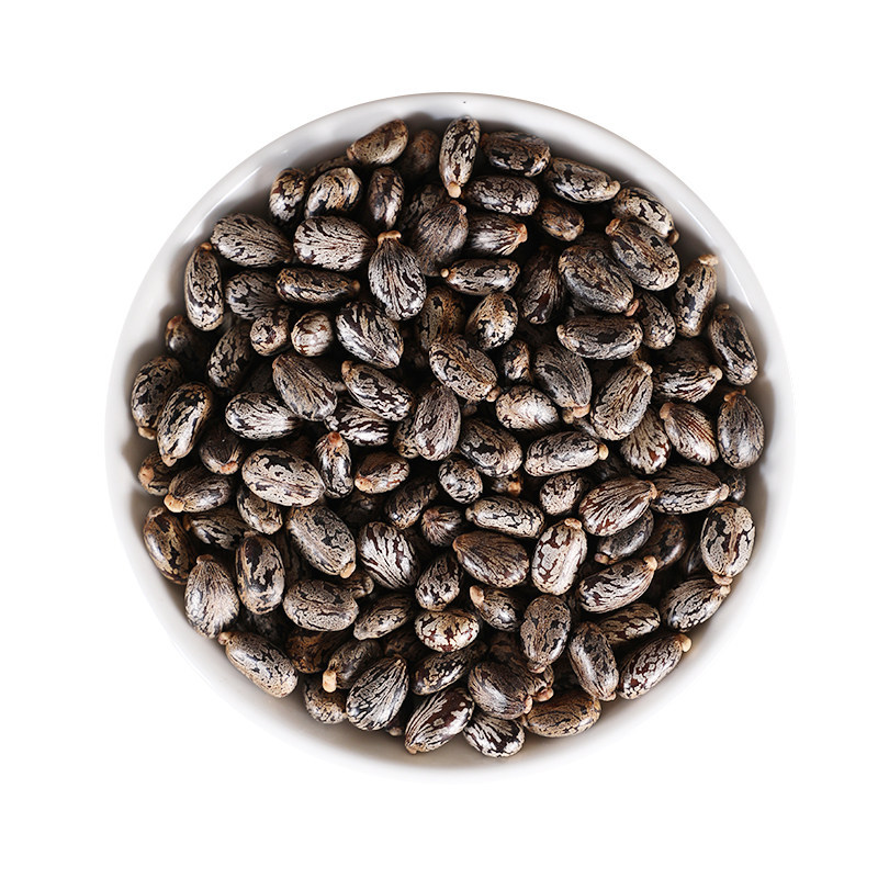 Wild Castor Seeds 500g Ricinus Communis Dried Bi Ma Zi Raw Herb for External Herbal Use - Image 5