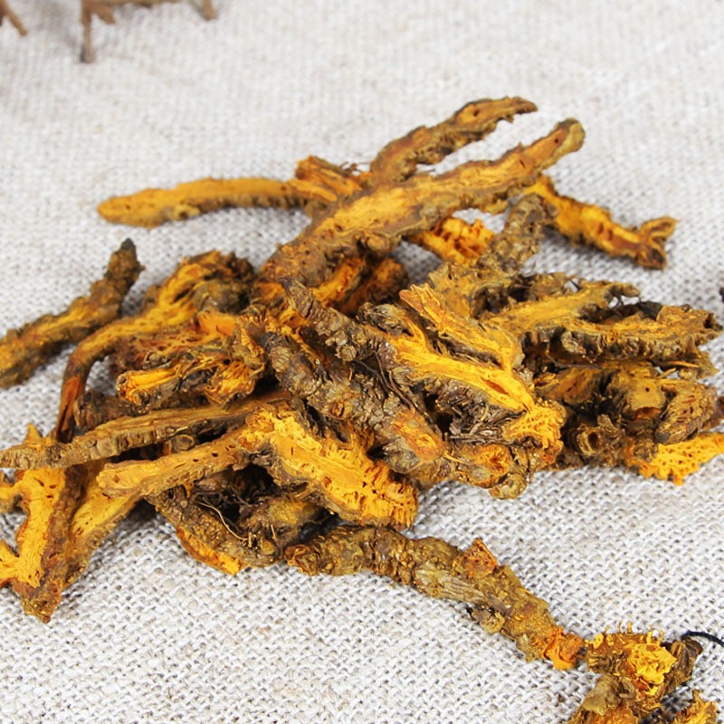 Huang Lian Powder Coptis chinensis Rhizome Fine Ground Bulk Herbal Powder 500g - Image 4
