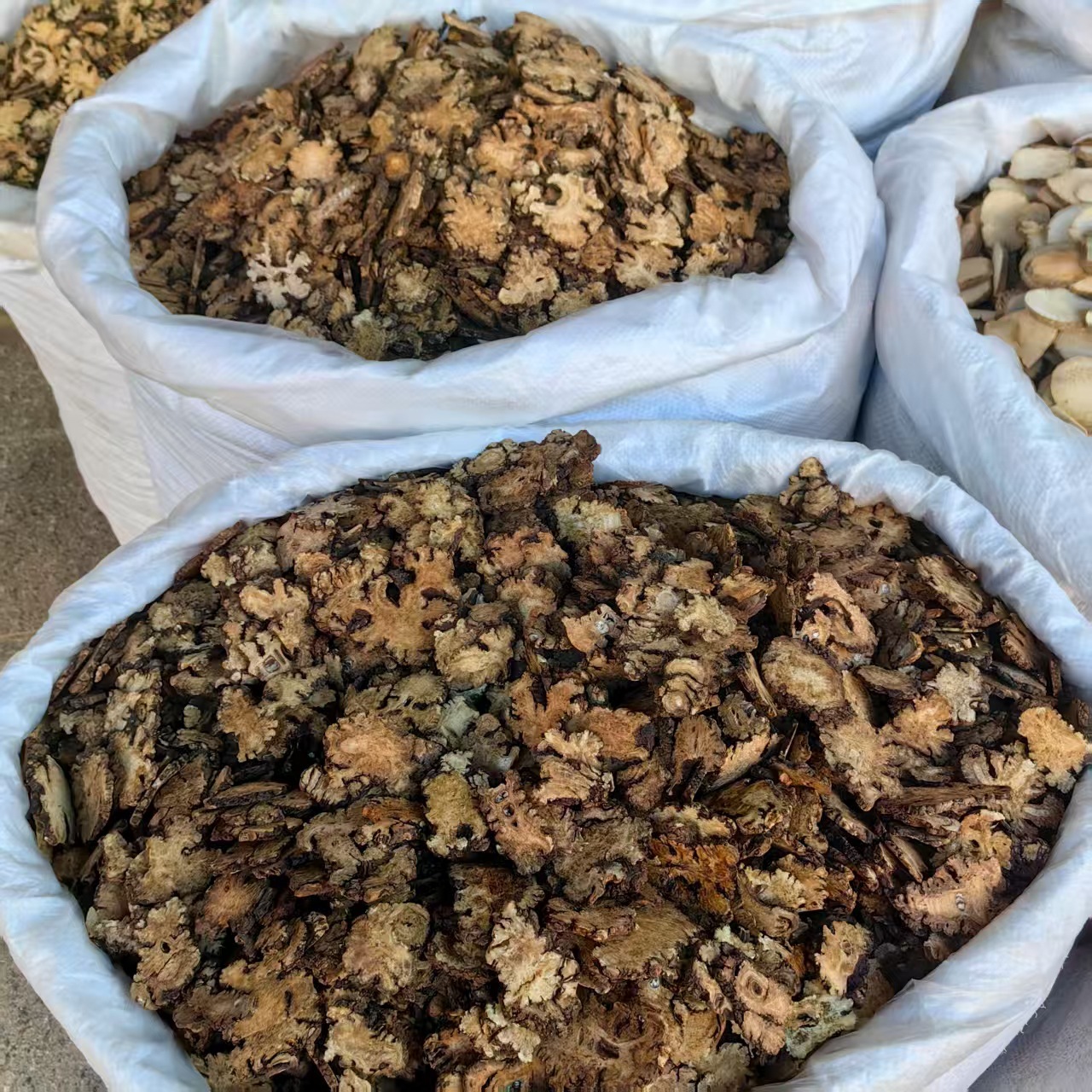 Chuanxiong Sliced Sichuan Lovage Rhizome 500g Sun Dried Herb for Decoction and Tea - Image 4