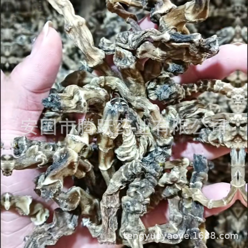 Dried Di Shen Root 500g Wholesale Loose Chinese Herbal Tea Ingredient Di Can - Image 2