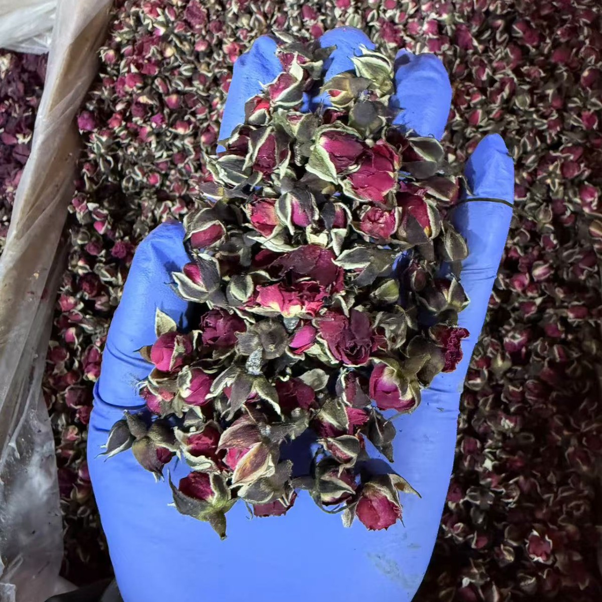 Golden Edge Rose Buds Dried Edible Rose Flower Tea 500g Loose Herbal Infusion - Image 4