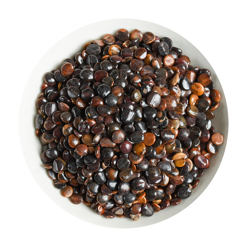 Zhi Ju Zi (Hovenia dulcis) — Dried Food-Herb Fruit for Tea & Soup - Image 5