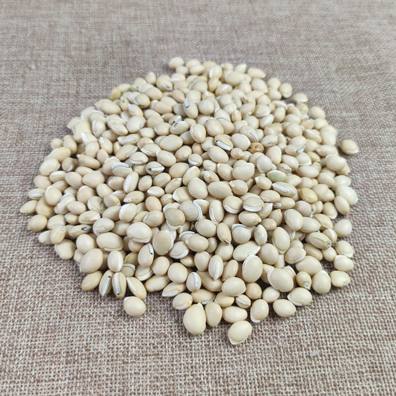 White Hyacinth Bean Bai Bian Dou 500g Dried Dolichos Seeds Hand Selected for Soup and Congee - Image 2