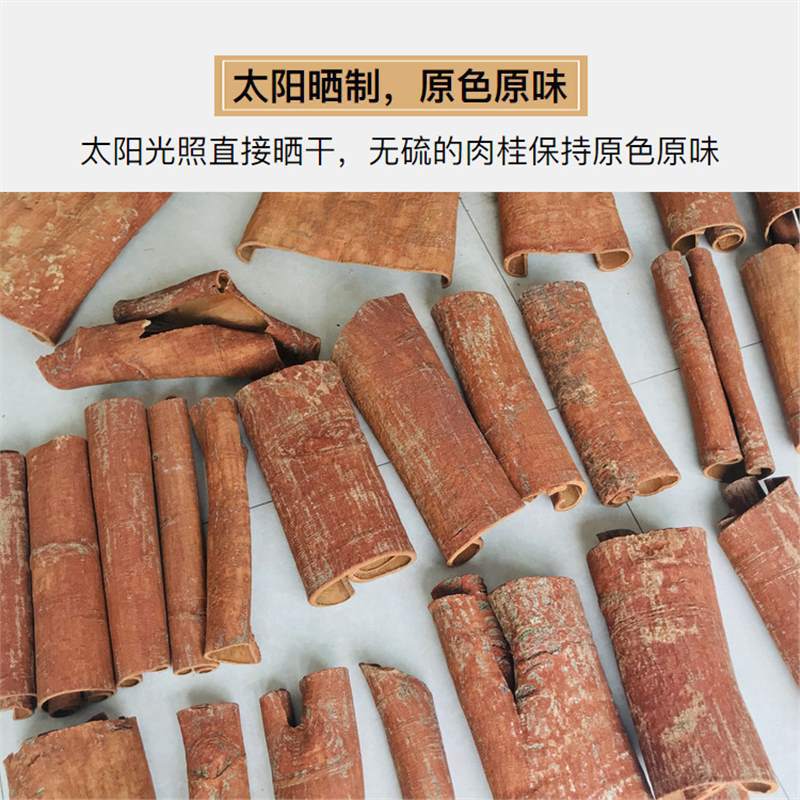 Chinese Cinnamon Bark Rou Gui 2500g Bulk Culinary Spice and TCM Herb - Image 4