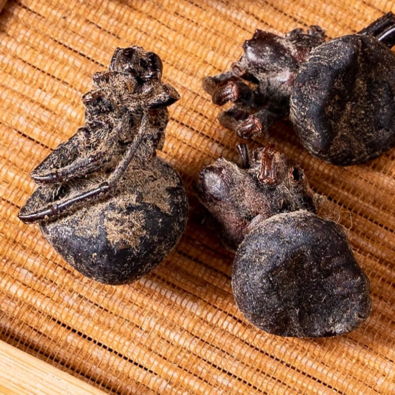 Black Spider (花蜘蛛) Dried Whole Herb — Traditional Chinese Medicinal Material, 500g - Image 2