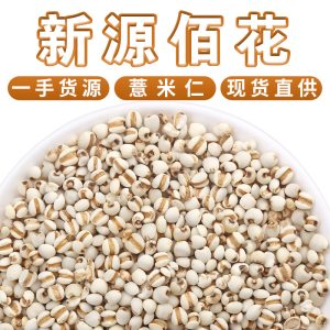 Coix Seed (Coix lacryma-jobi) — Roasted Puffed Yi Mi Ren, 500g Loose Food Herb
