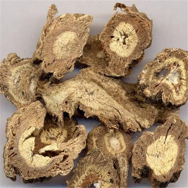 Dried Du Huo Powder Angelica Pubescens Root 500g Sichuan Origin - Image 2