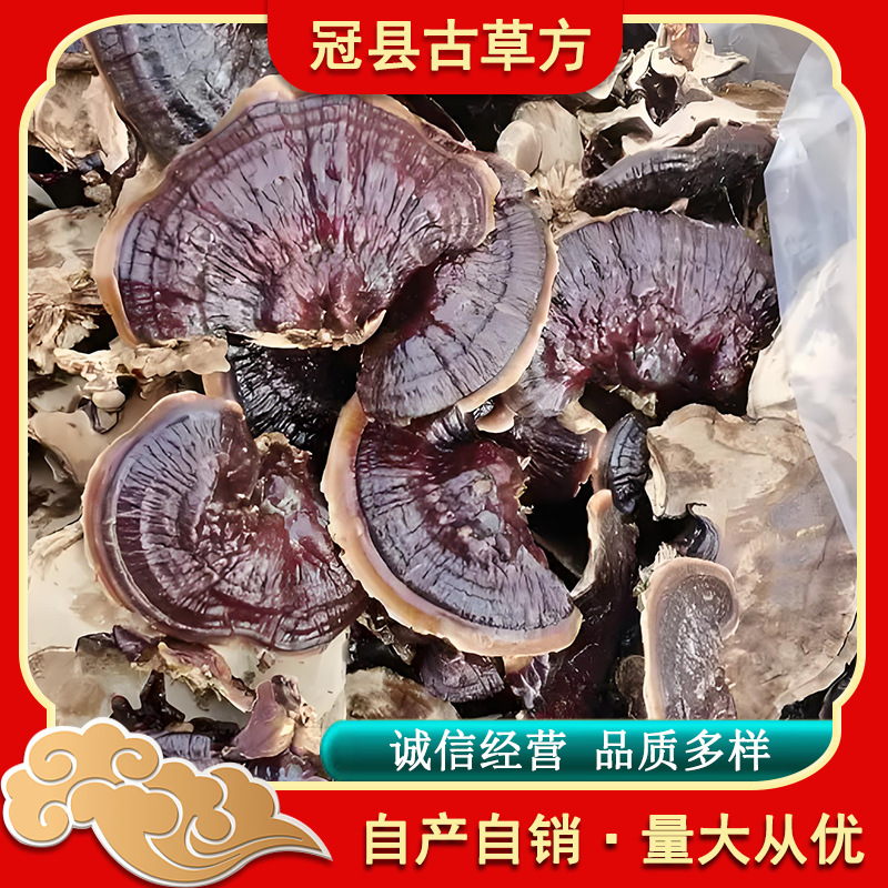 Black Reishi Mushroom Dried Slices Ling Zhi for Tea Soup and Wine Soaking - Image 4