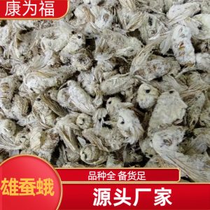 Male Silkworm Moth (Bombyx mori) — Dried TCM Herb, Food-Grade, 500g