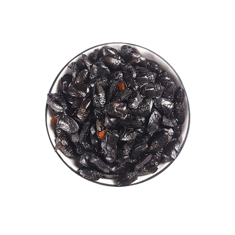 Jiu Xiang Chong (Aspongopus chinensis) — Dried TCM Herb, 500g Powder - Image 5
