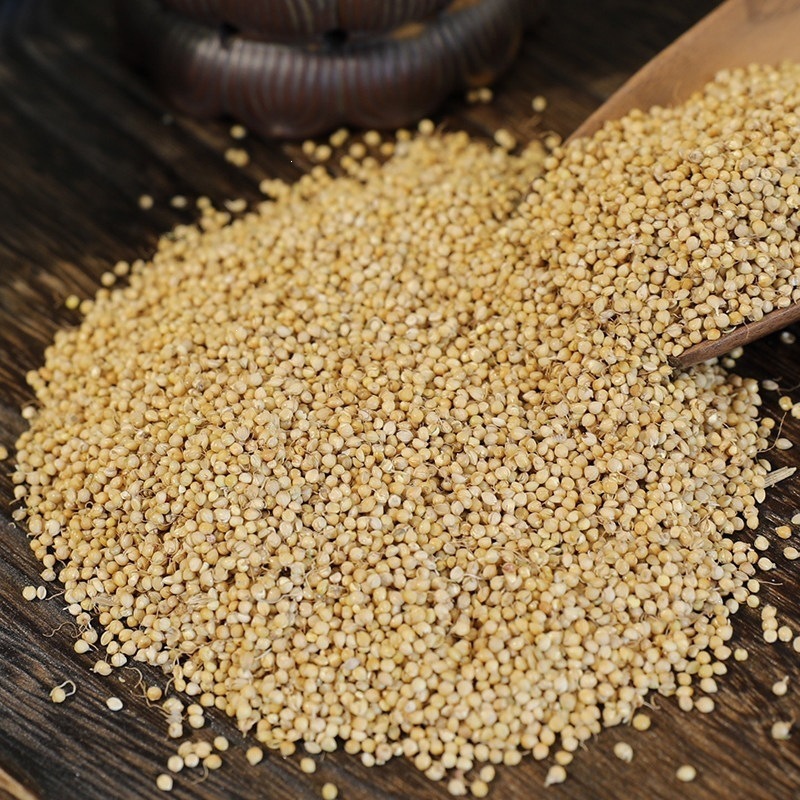 Dried Gu Ya Sprouted Rice Grain for Herbal Tea Soup and Daily Decoction 500g - Image 2