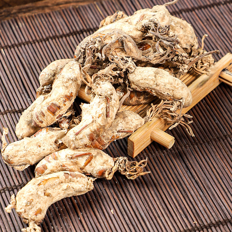 Jin Chan Hua (Cordyceps cicadae) — Dried Cicada Flower Fungus, Food Herb for Soups & Teas - Image 3