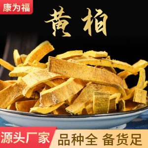 Phellodendron Bark (Phellodendron chinense) — Dried Sichuan Huang Bai Decoction Pieces