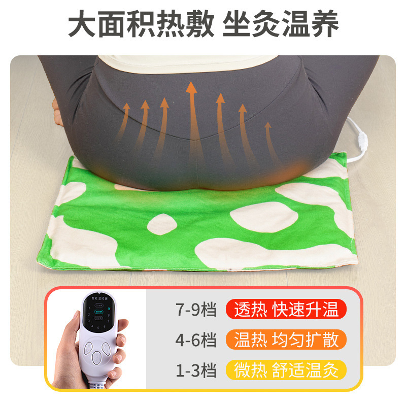 Electric Mugwort Seat Cushion Ai Rong Heated Moxibustion Pad Adjustable Temperature Home Office Use - Image 4