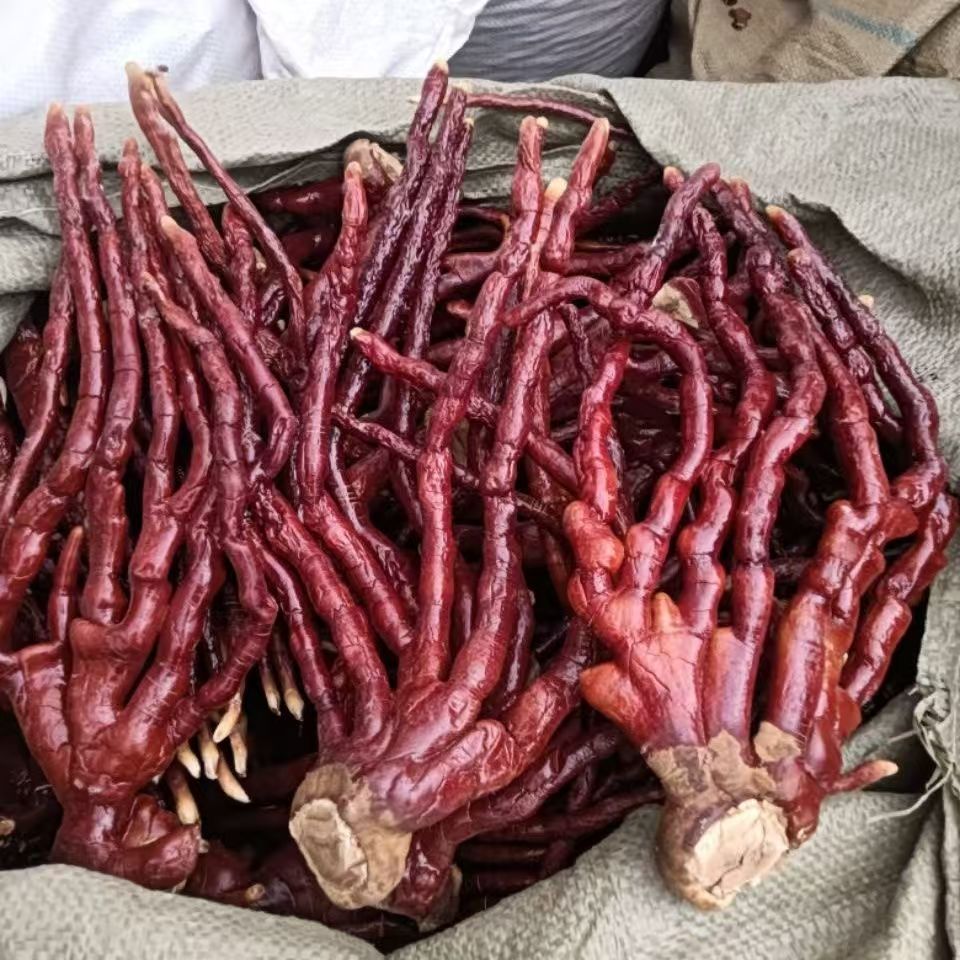 Deer Antler Lingzhi Whole Dried Reishi Mushroom Ganoderma lucidum 500g Changbai Mountain Herb - Image 4