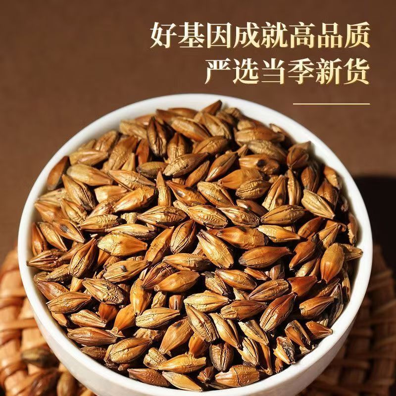 Roasted Barley Tea Loose Grain Herbal Tea Dam Mai Cha for Daily Brewing and Cooking - Image 3