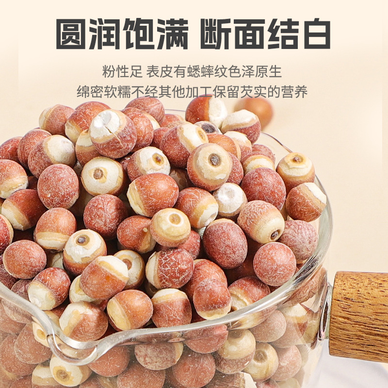 Dried Gorgon Fruit Qian Shi Euryale Seeds Whole Grain Herbal Tea and Soup Ingredient 500g - Image 3