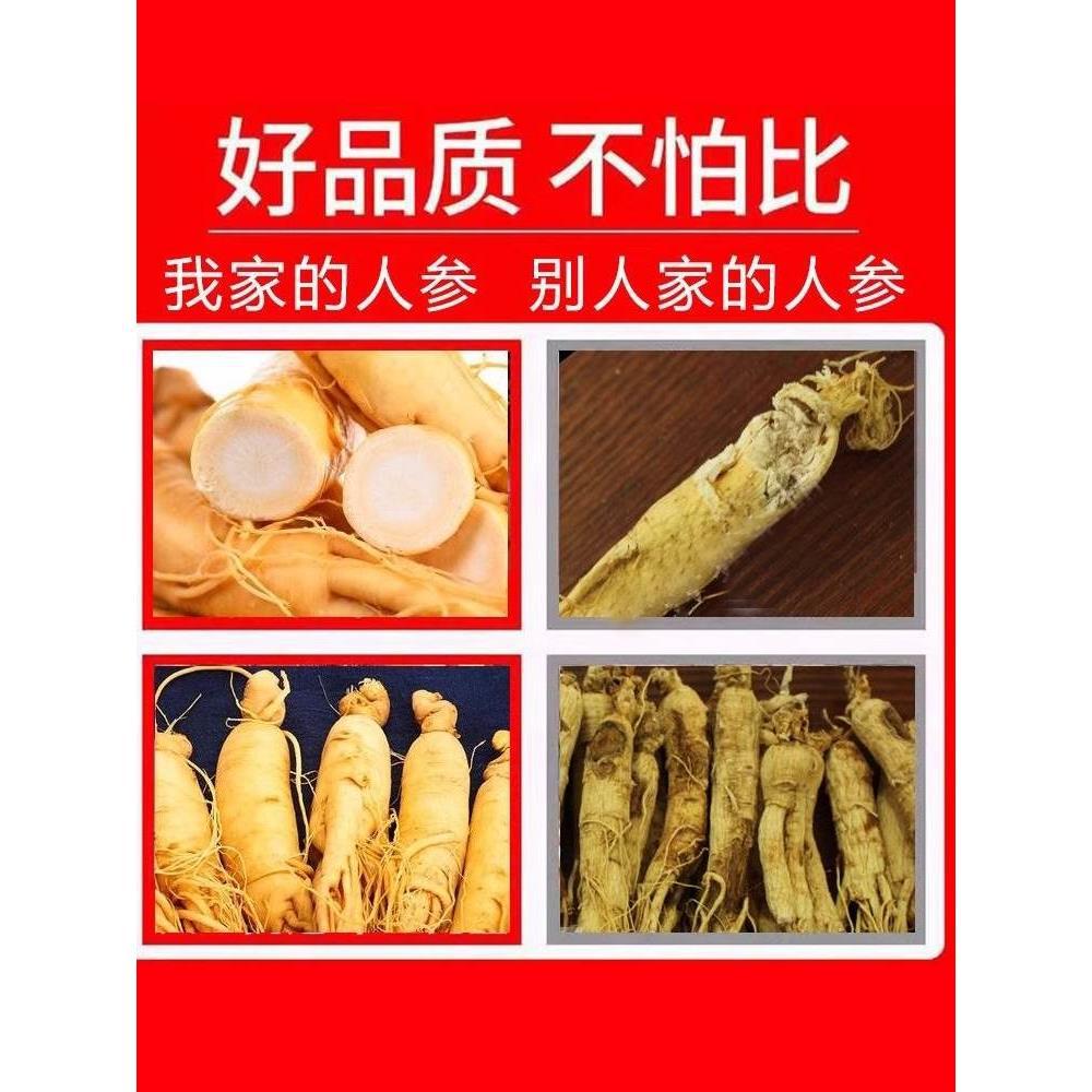 Fresh Ginseng Root Changbai Mountain Panax ginseng for Wine Infusion and Herbal Decoction 15g - Image 5