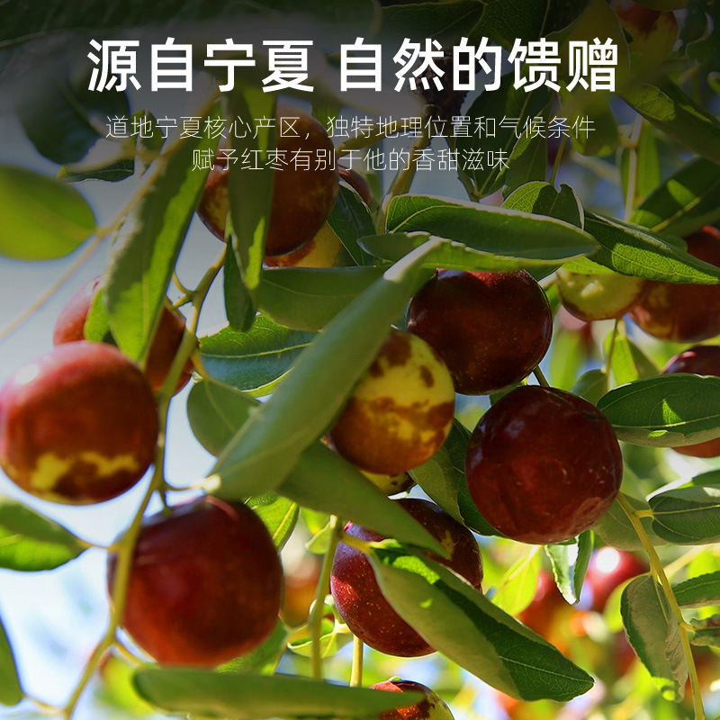 Dried Ningxia Red Dates Ready to Eat Jujube Fruit 250g Bag - Image 2