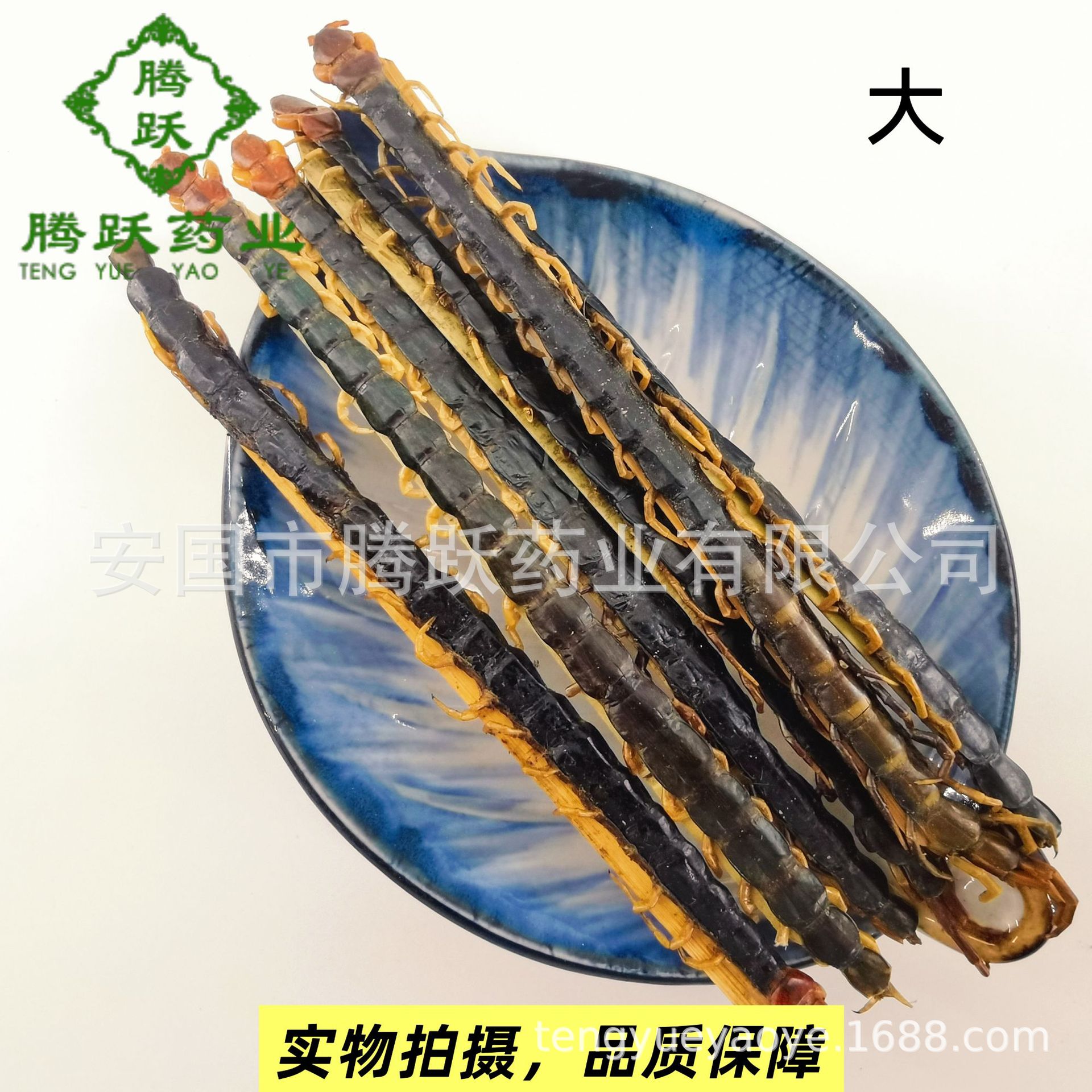 Dried Whole Centipede Wu Gong 500g Chinese Herbal Material Scolopendra Subspinipes Mutilans - Image 3