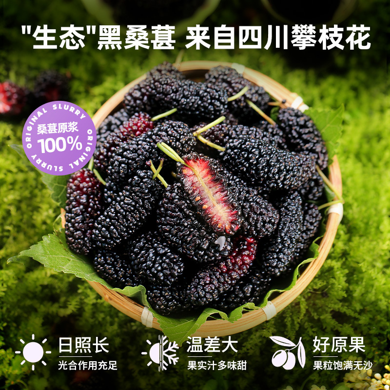 Mulberry Puree NFC Fresh Mulberry Juice 2.7L Gift Box Zero Additive Sang Shen Yuan Jiang - Image 3