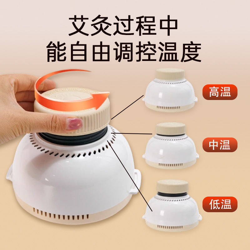 Moxibustion Box Kit Home Warming Device with Moxa Sticks Essential Oil Strap Acupoint Chart Gift Box - Image 2