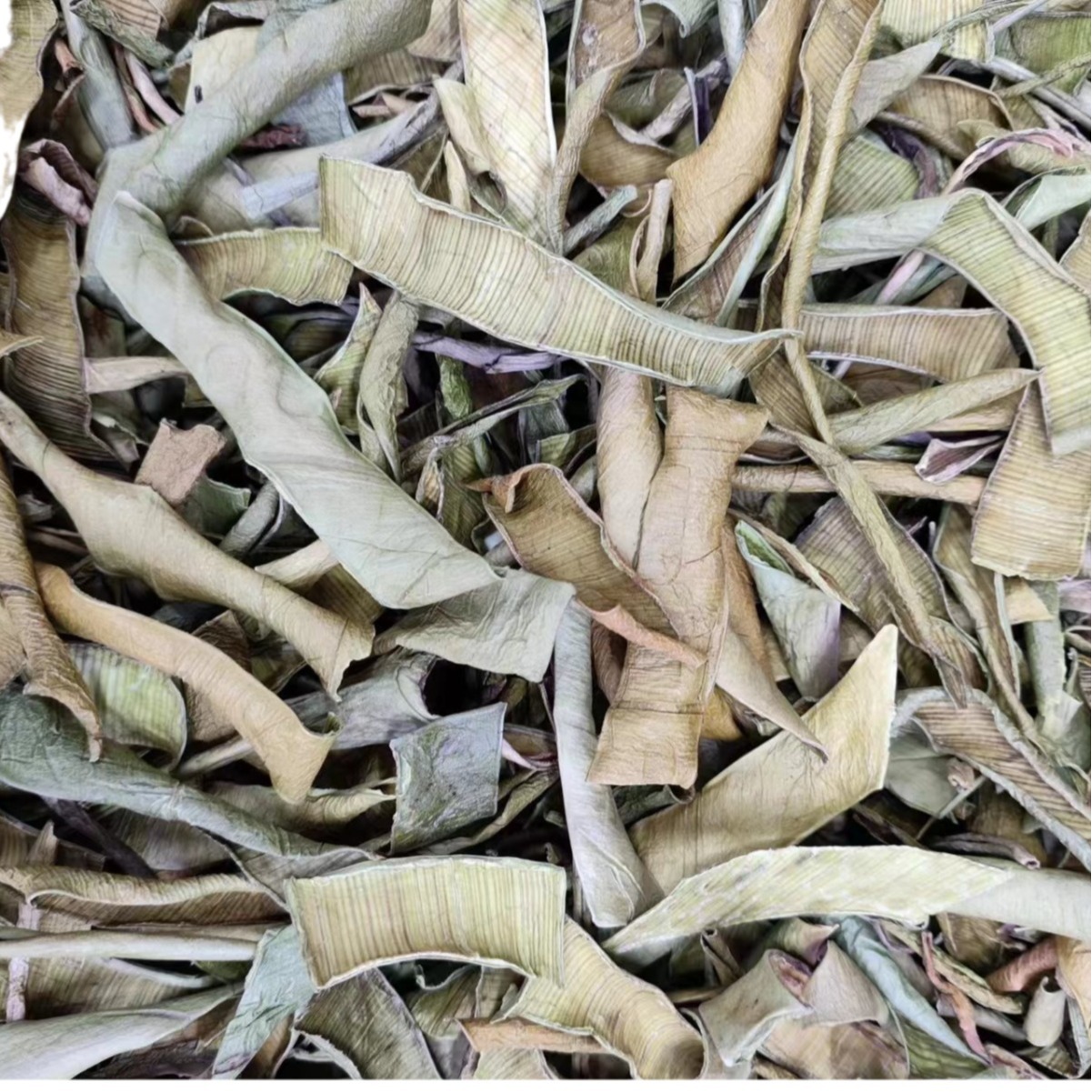 Aloe Peel (Aloe vera) — Dried Aloe Rind & Shreds, Food-Herb Botanical for Tea & Soaks - Image 5