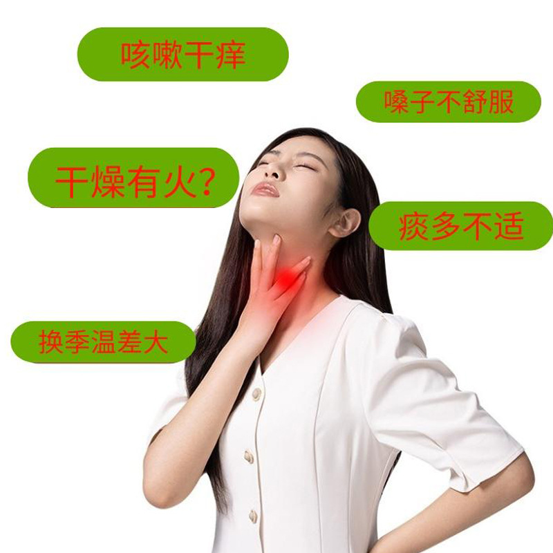 Pure Pear Paste Li Gao 100ml Box of 10 Stick Packs Ready to Eat Autumn Winter Daily Herbal Syrup - Image 3