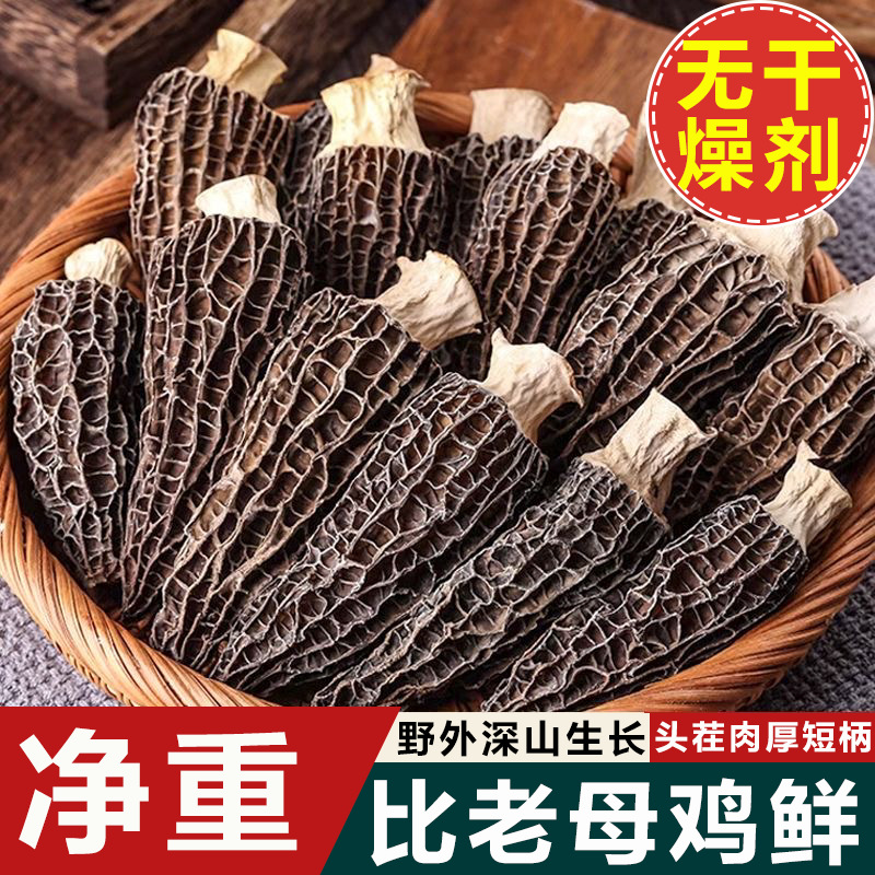 Dried Morel Mushrooms Yang Du Jun Morchella Whole Wild Foraged Yunnan Culinary Gourmet Soup Fungi - Image 2