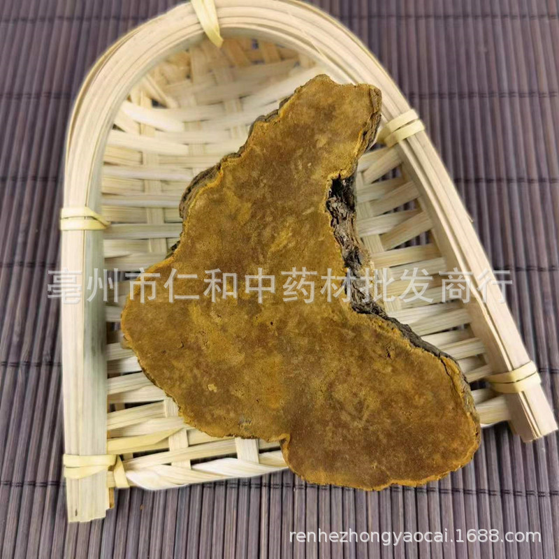 Sang Huang Mulberry Yellow Fungus Dried Phellinus 500g Bulk Herbal Ingredient for Cooking and Decoction - Image 3