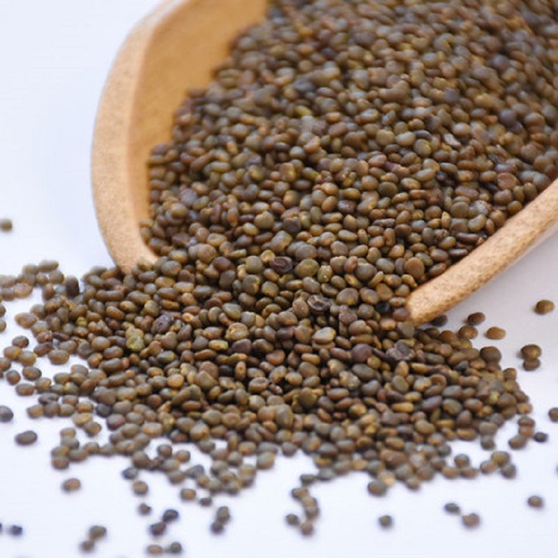 Sha Yuan Zi (Astragalus complanatus) — Dried Food-Herb Seeds for Tea & Daily Nourishment - Image 3