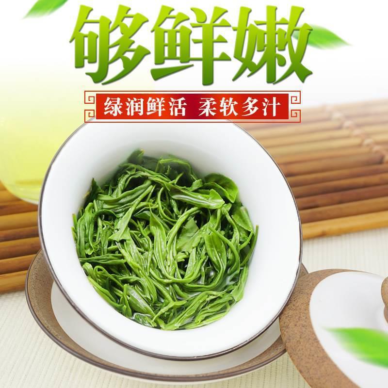 High Mountain Cloud Mist Green Tea Maojian 2024 Pre-Qingming Loose Leaf 500g - Image 4