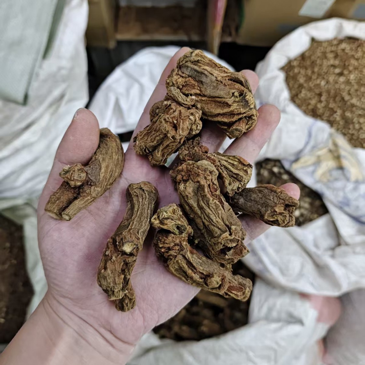 Dried Danshen Root Heads Dan Shen Whole Salvia miltiorrhiza for Decoction 500g - Image 3