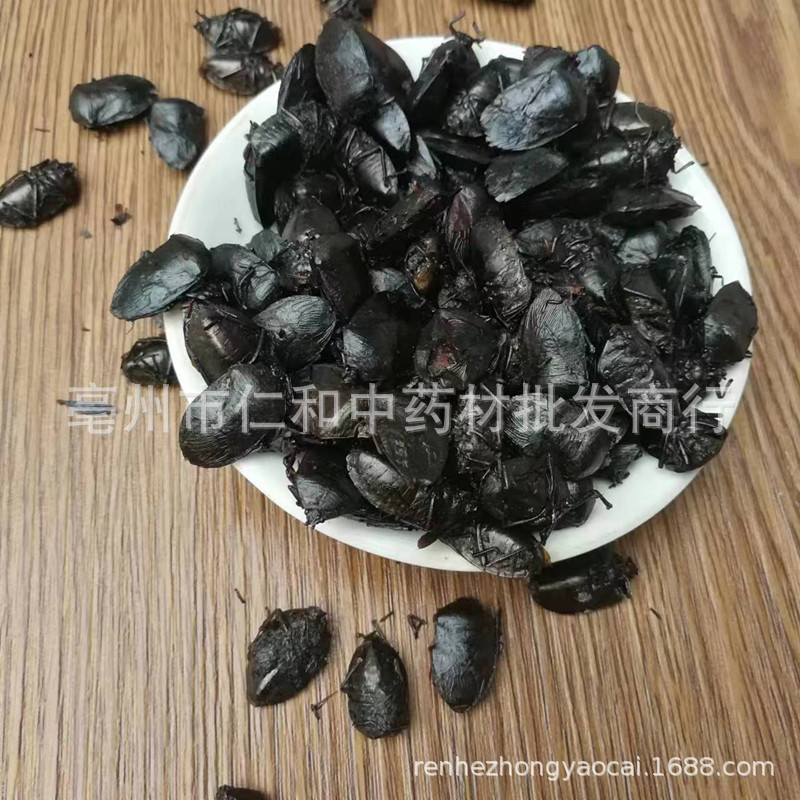 Jiu Xiang Chou Dried Bug Whole Insect Raw Herb Traditional TCM Ingredient Sealed Storage - Image 3
