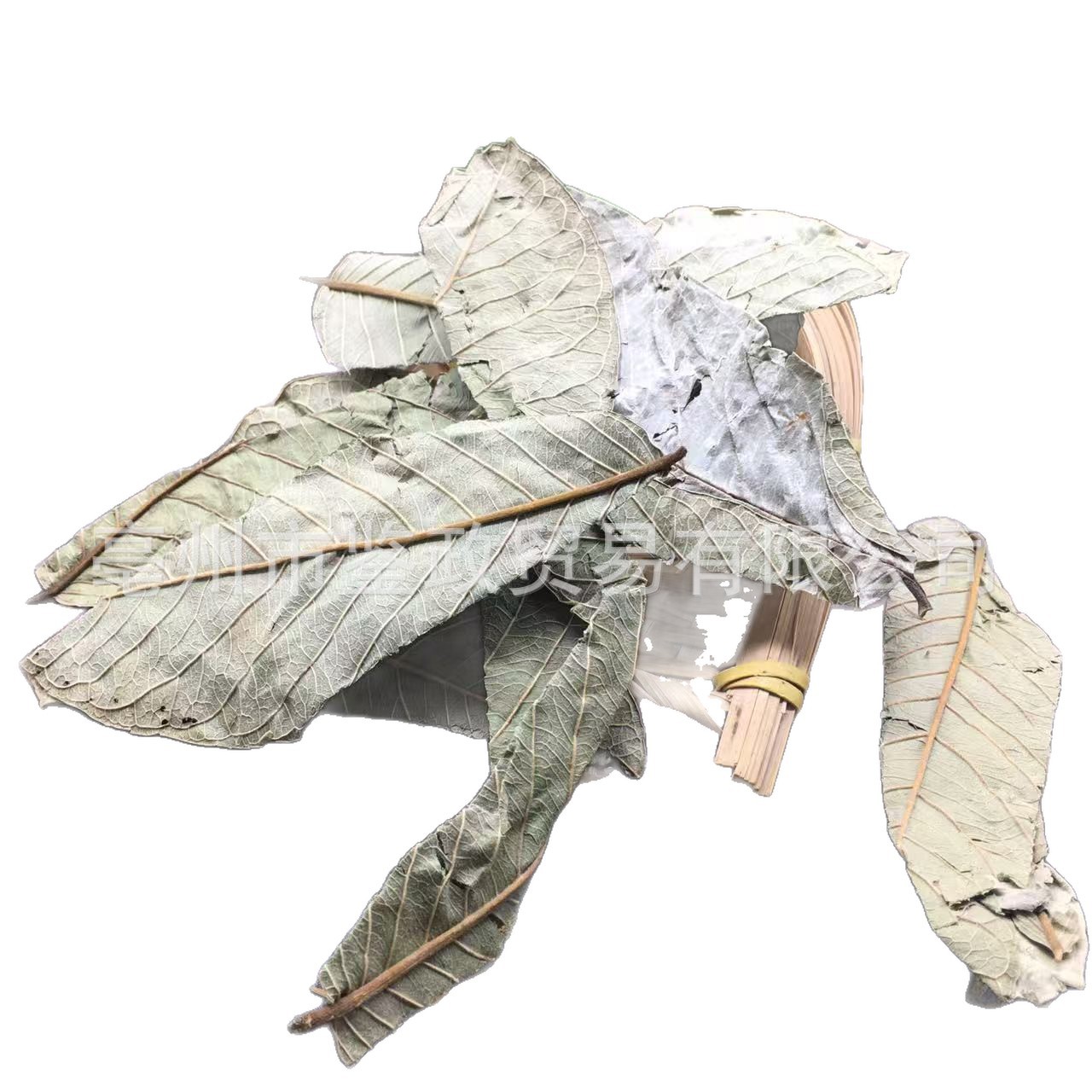 Guava Leaf Tea Folium Psidii Guajavae Fan Shi Liu Ye Dried Loose Leaves Bulk 500g - Image 5