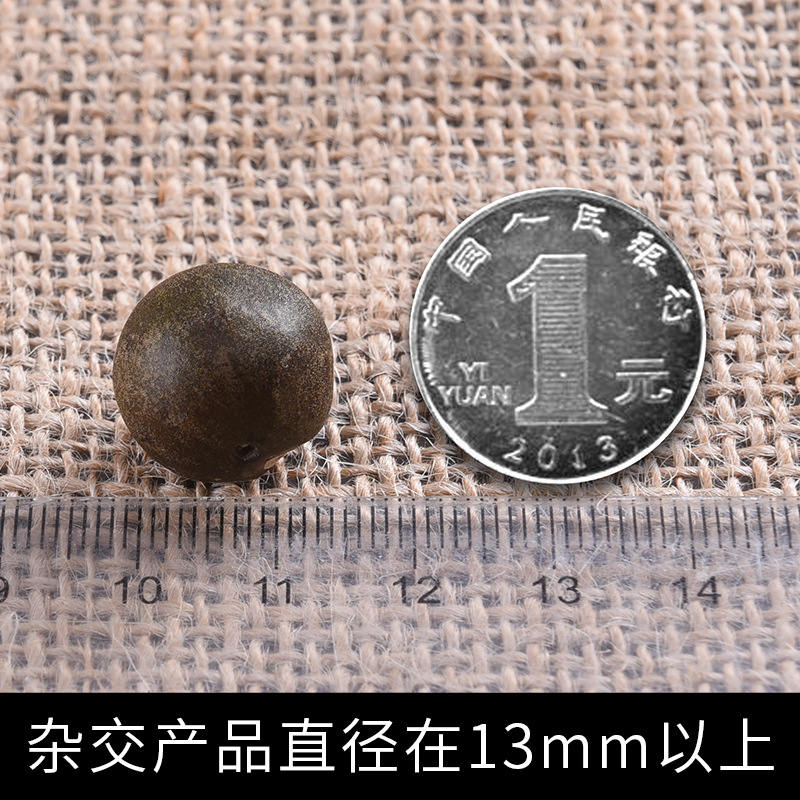Qian Shi Gorgon Fruit Seeds Euryale Ferox Hybrid Variety Thin Shell Large Seed High Yield - Image 2