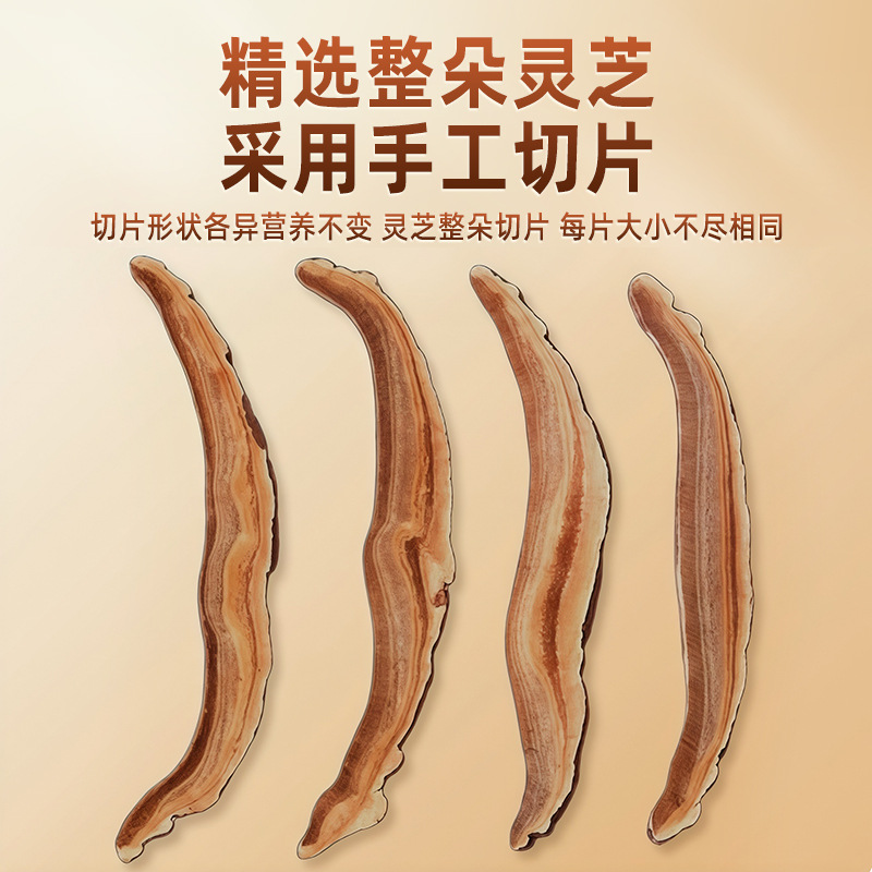 Organic Reishi Mushroom Slices 100g Red Lingzhi Dried Herb for Tea and Decoction - Image 3