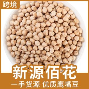 Roasted Chickpeas (Cicer arietinum) — Xinjiang-Grown Ying Zui Dou, Food-Herb Grain 500g