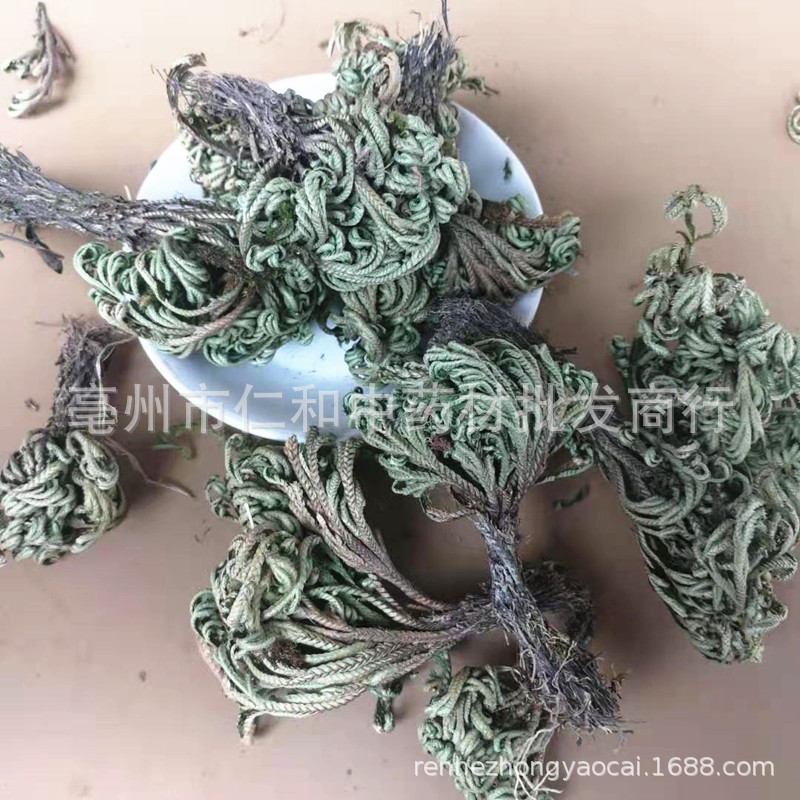 Dried Selaginella Juan Bai 500g Whole Herb Resurrection Grass Traditional TCM Botanical - Image 2