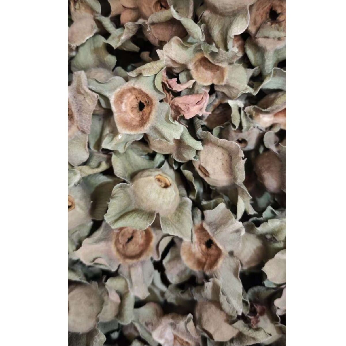 Shi Di (Diospyros kaki Calyx) — Dried Persimmon Calyx Herb, 500g - Image 5