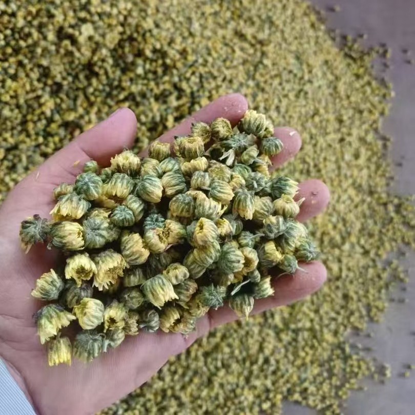 Dried Tai Chrysanthemum Flower Tea Buds White Chrysanthemum Herbal Tea 500g - Image 3