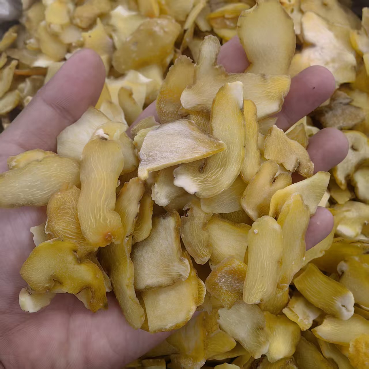 Raw Huang Jing Sliced Polygonatum Rhizome 500g Sun Dried Hunan Origin - Image 2